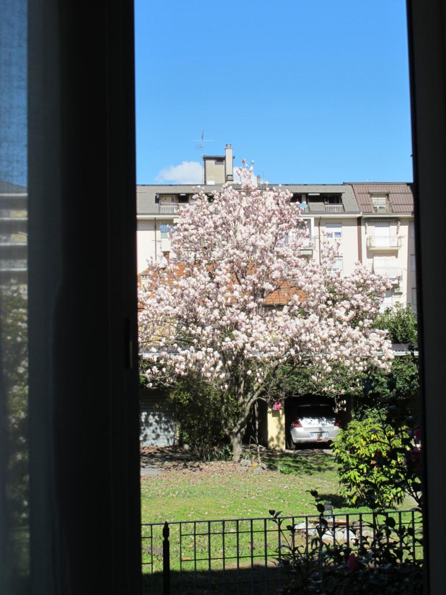 Domus Mea Apartment Domodossola Bagian luar foto
